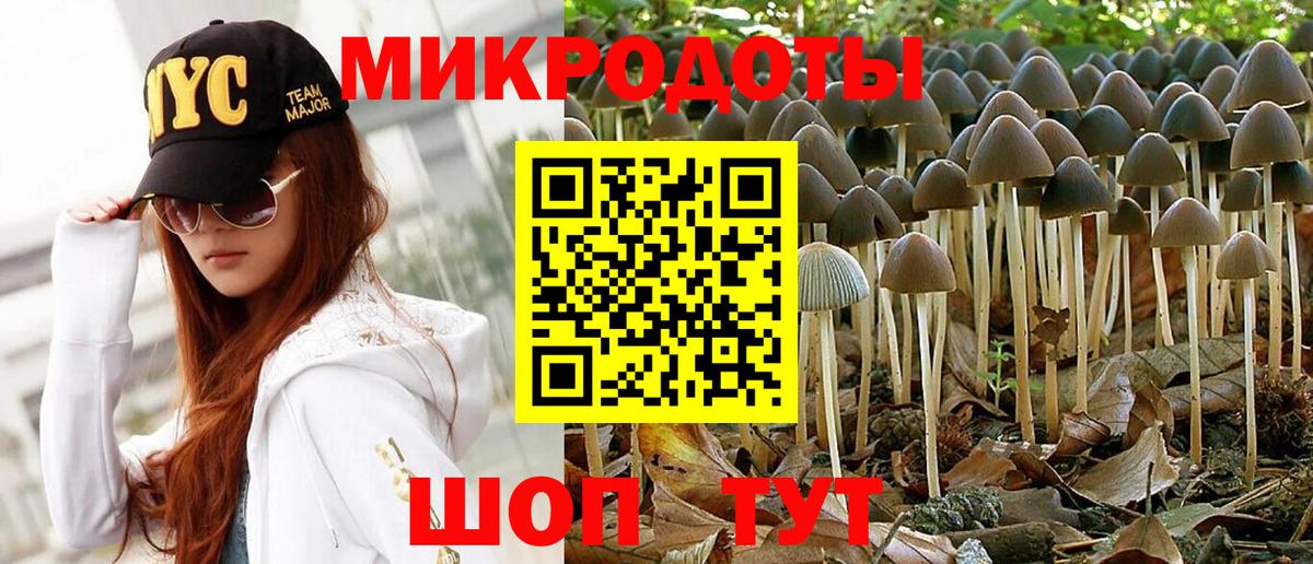 Галлюциногенные грибы прущие грибы  Вход с VPN  Псилоцибиновые грибы мицелий  Знаменск 
