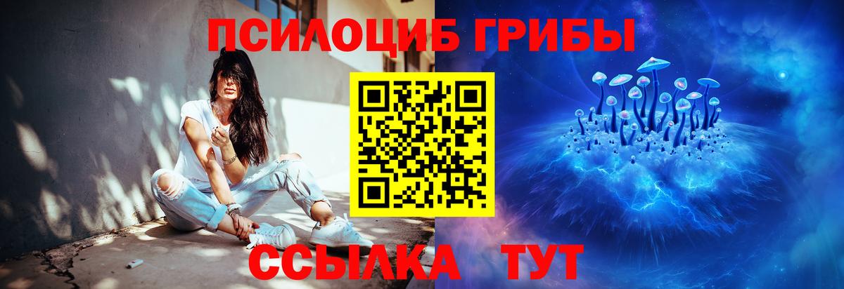Псилоцибиновые грибы мухоморы Знаменск